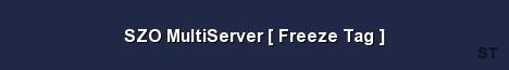 SZO MultiServer Freeze Tag Server Banner
