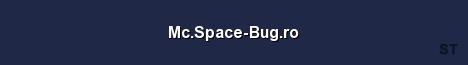 Mc Space Bug ro Server Banner