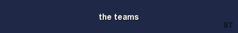 the teams Server Banner