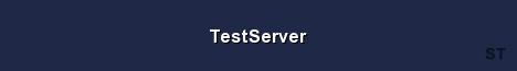 TestServer Server Banner