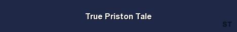 True Priston Tale Server Banner