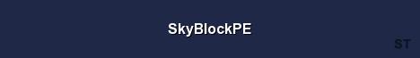 SkyBlockPE Server Banner