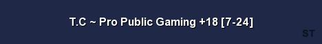 T C Pro Public Gaming 18 7 24 Server Banner