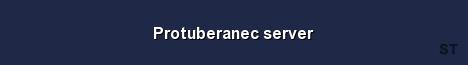 Protuberanec server Server Banner