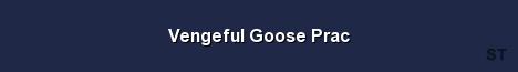 Vengeful Goose Prac Server Banner