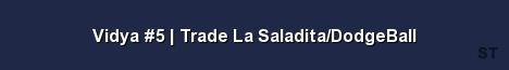 Vidya 5 Trade La Saladita DodgeBall Server Banner