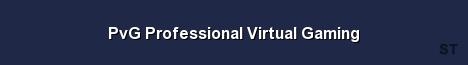 PvG Professional Virtual Gaming Server Banner