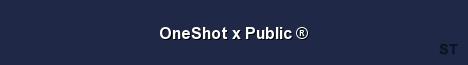 OneShot x Public Server Banner