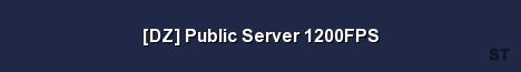 DZ Public Server 1200FPS 