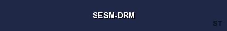 SESM DRM Server Banner
