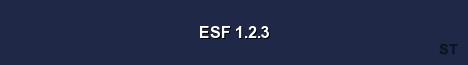 ESF 1 2 3 Server Banner