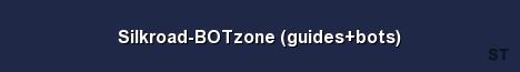 Silkroad BOTzone guides bots Server Banner
