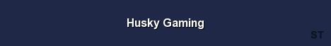 Husky Gaming Server Banner