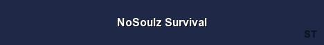 NoSoulz Survival Server Banner