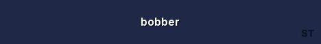 bobber Server Banner