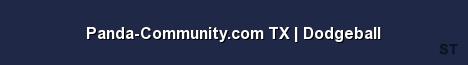 Panda Community com TX Dodgeball Server Banner