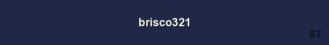 brisco321 Server Banner