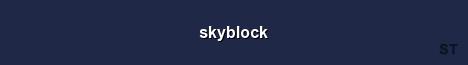 skyblock Server Banner