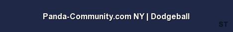 Panda Community com NY Dodgeball Server Banner