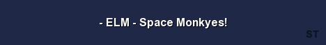 ELM Space Monkyes Server Banner