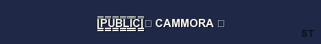 P U B L I C 亗 CAMMORA 亗 Server Banner