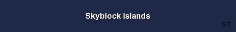 Skyblock Islands Server Banner