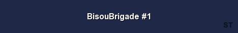 BisouBrigade 1 Server Banner