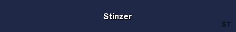 Stinzer Server Banner