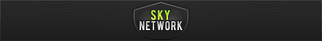 SkyNetwork Server Banner