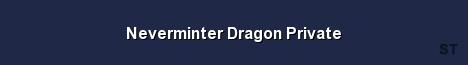 Neverminter Dragon Private Server Banner