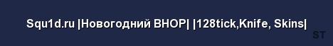 Squ1d ru Новогодний BHOP 128tick Knife Skins Server Banner