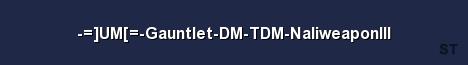 UM Gauntlet DM TDM NaliweaponIII Server Banner