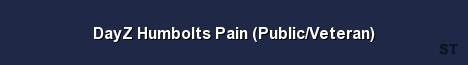 DayZ Humbolts Pain Public Veteran Server Banner
