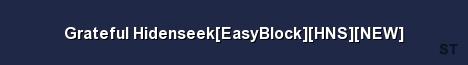 Grateful Hidenseek EasyBlock HNS NEW Server Banner