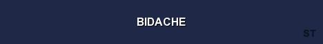 BIDACHE Server Banner