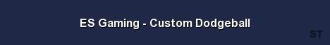 ES Gaming Custom Dodgeball Server Banner