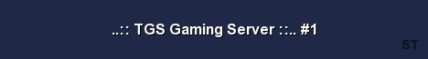 TGS Gaming Server 1 Server Banner