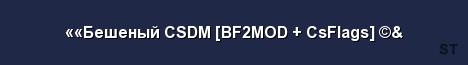 Бешеный CSDM BF2MOD CsFlags Server Banner