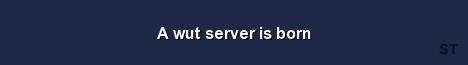 A wut server is born 