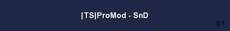 TS ProMod SnD Server Banner