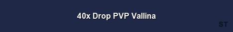 40x Drop PVP Vallina Server Banner
