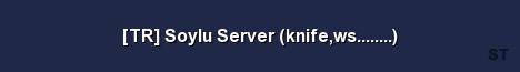 TR Soylu Server knife ws Server Banner