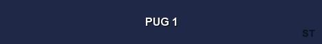 PUG 1 Server Banner