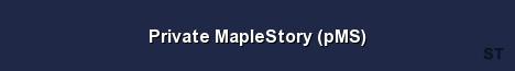 Private MapleStory pMS Server Banner