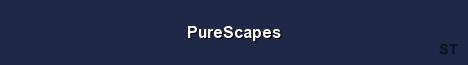 PureScapes Server Banner