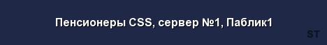 Пенсионеры CSS сервер 1 Паблик1 Server Banner