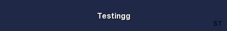 Testingg Server Banner
