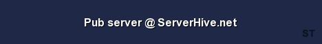 Pub server ServerHive net Server Banner