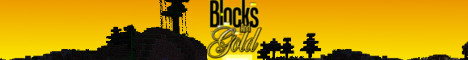 Blocks and Gold Server Banner