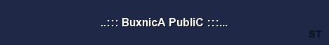 BuxnicA PubliC Server Banner